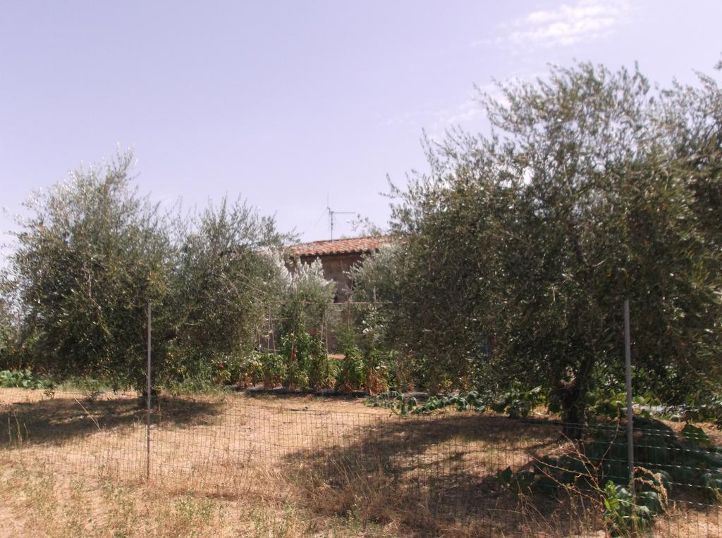 Locazione Turistica Ex Le Casette Di Cedromonte Panicale Buitenkant foto